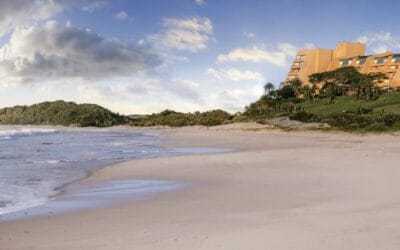 Living on the Wild Coast and How It Shapes Zayya