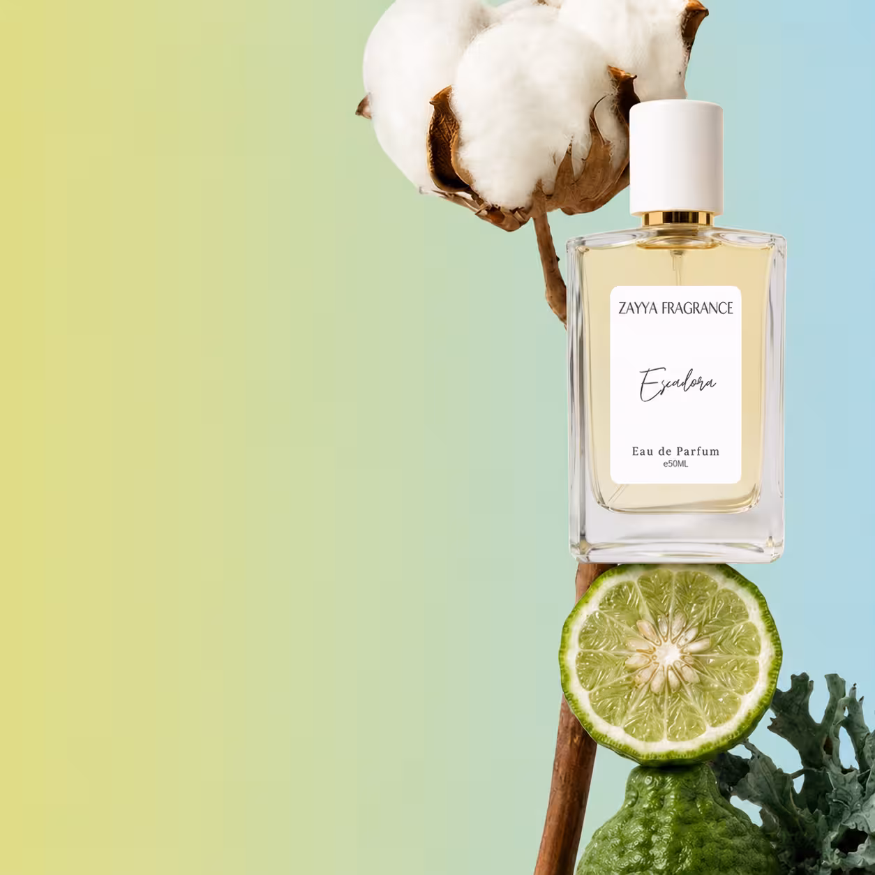Zayya Perfumes